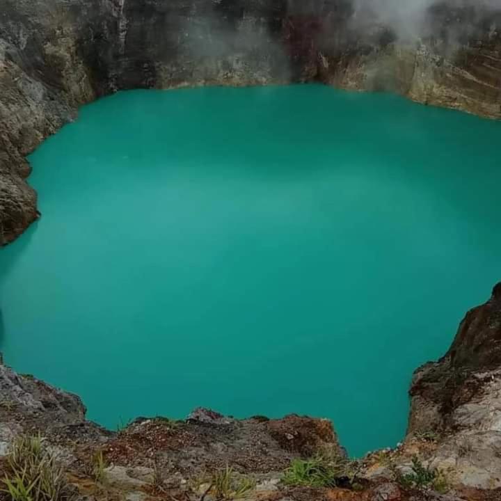 Wisma Kelimutu Ende Esterno foto
