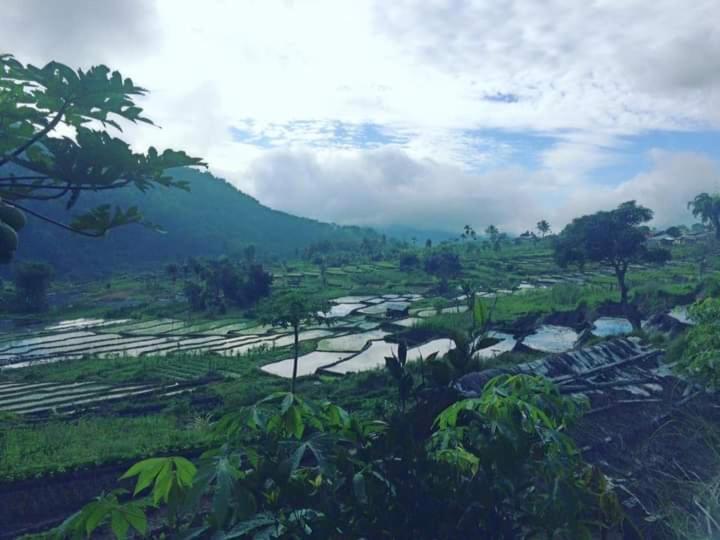 Wisma Kelimutu Ende Esterno foto